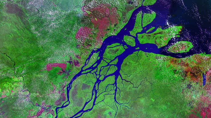 Delta do Amazonas