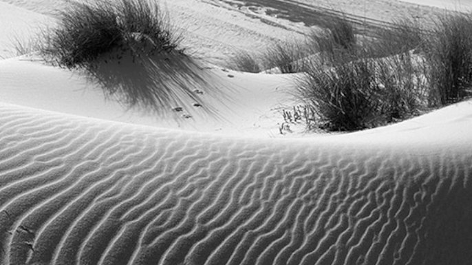 Colóquio Centenário de Nascimento do Escritor Carlos de Oliveira (1921-1981)
