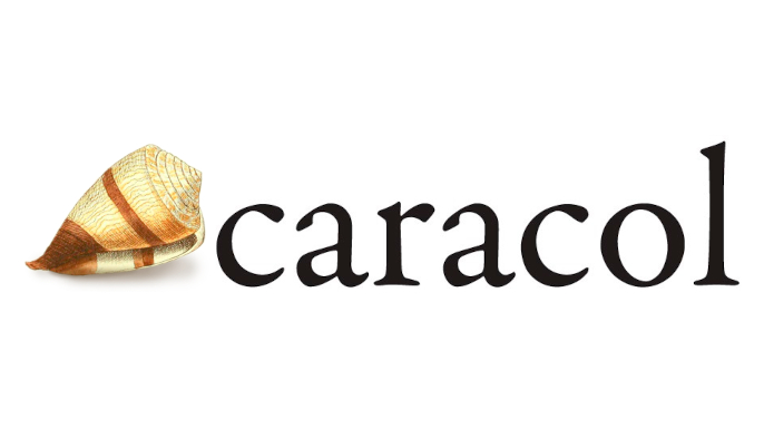 Chamada para publicação revista Caracol