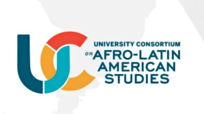 Consórcio Afro-Cebrap abre chamada para Pesquisadores Visitantes 2026–2027