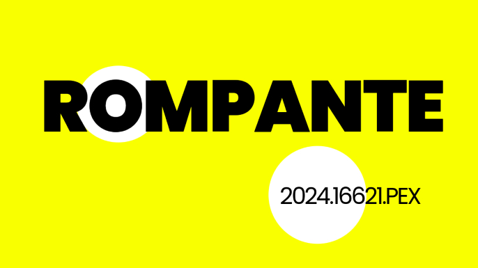 ROMPANTE: A participação dos estudantes universitários nos movimentos de alfabetização (1974-1976)